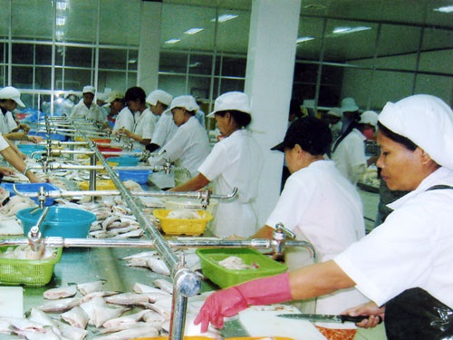 Ngành cá tra liên kết để vượt khó - 76