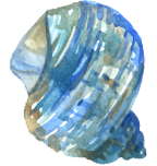 Về chúng tôi - 21