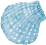 Về chúng tôi - 19