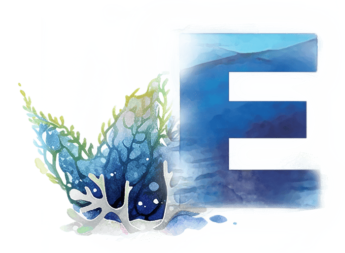 Phát triển bền vững - 29