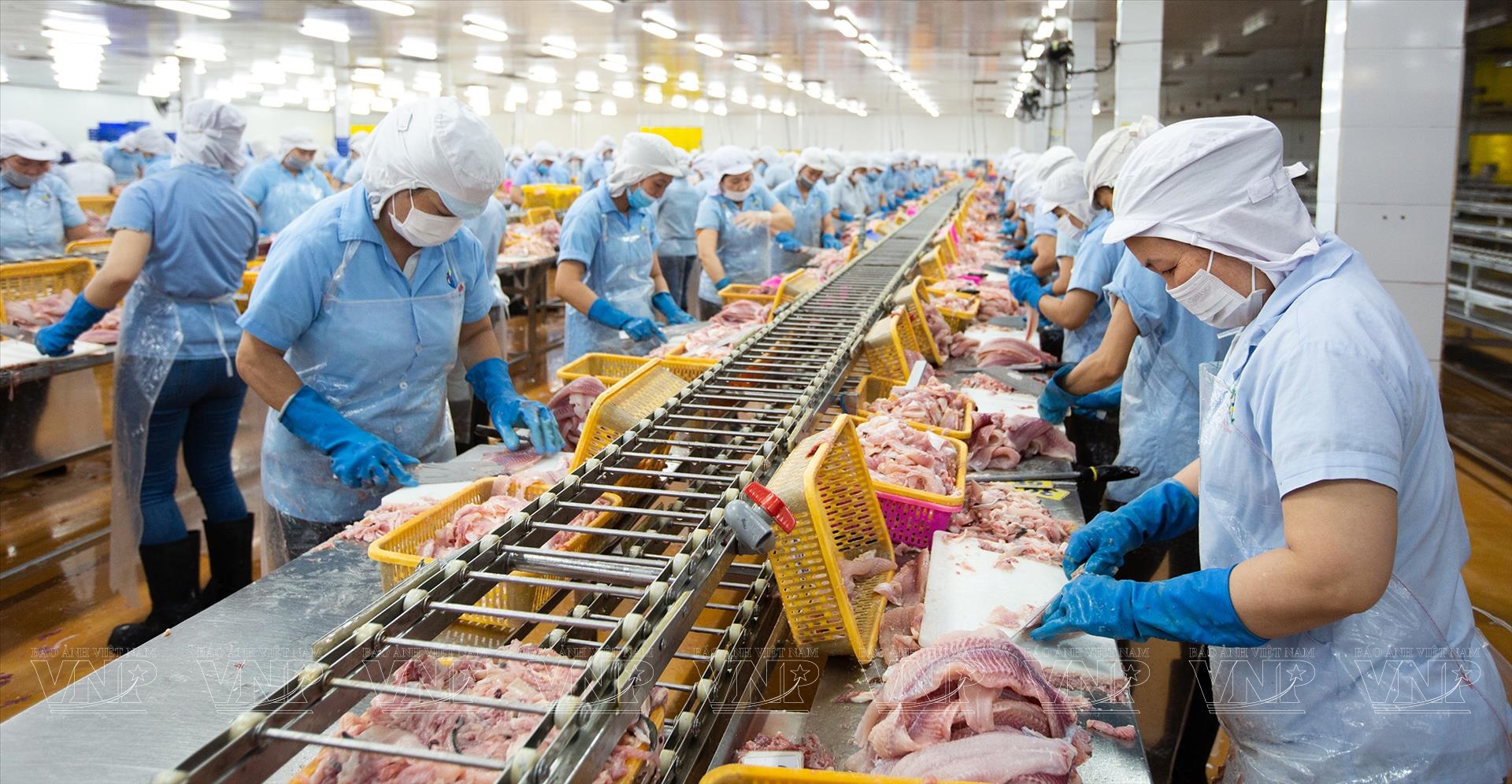 Về chúng tôi - 34