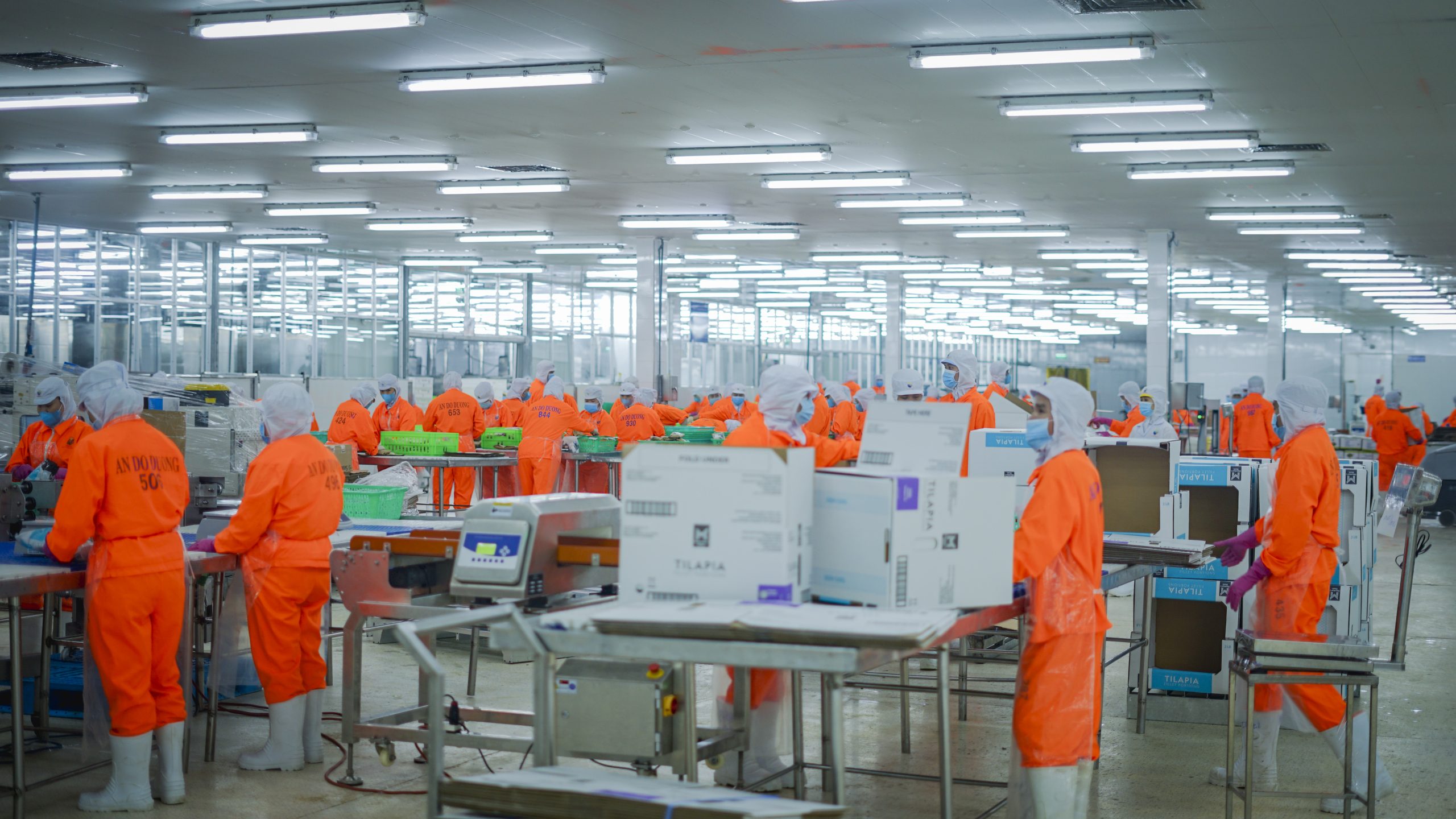 Về chúng tôi - 18