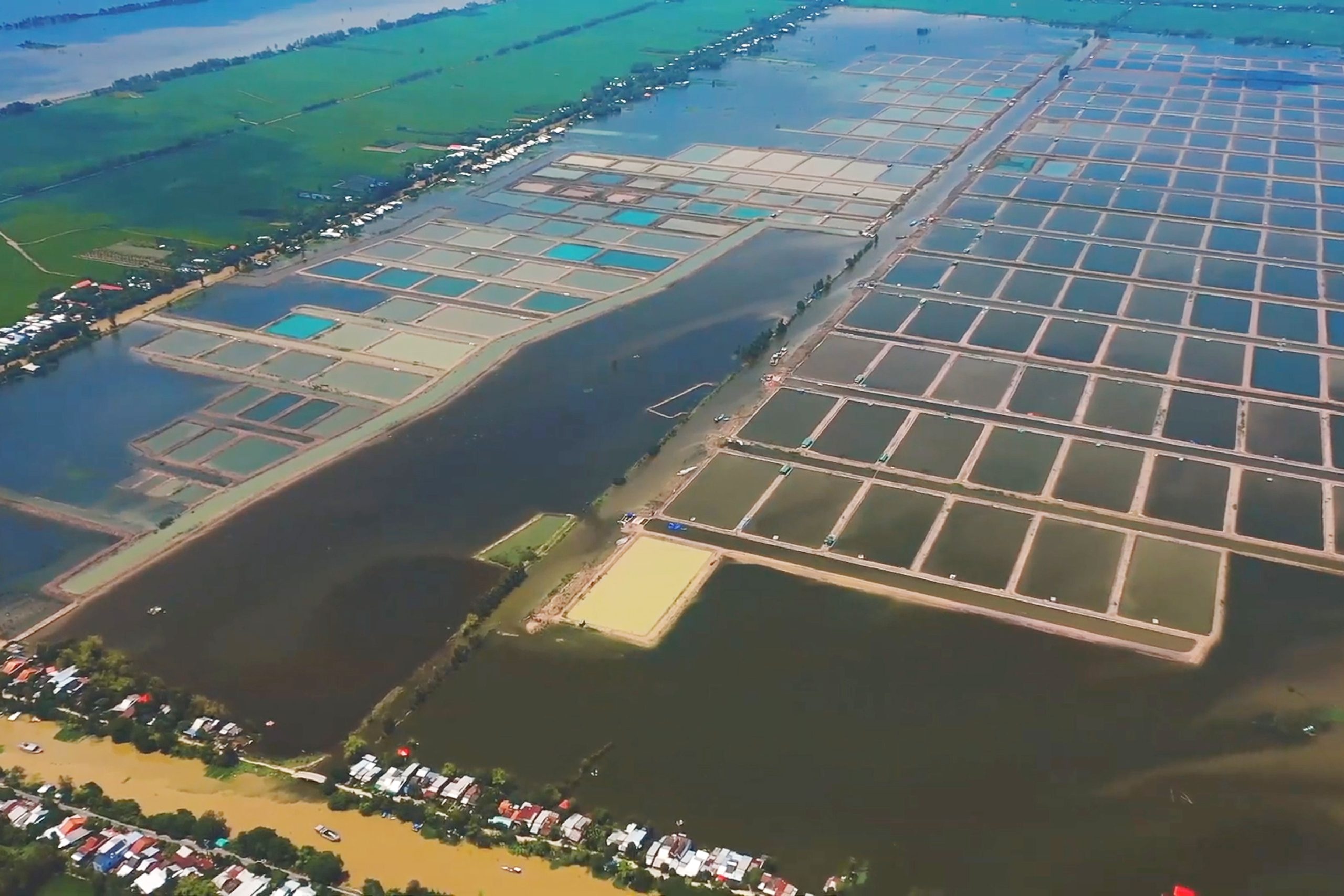 Về chúng tôi - 12