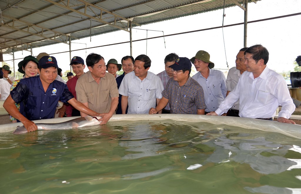 lth_1789-3fq700 Bộ trưởng Nguyễn Xuân Cường thăm và làm việc với Công ty Cổ phần Nam Việt - 58