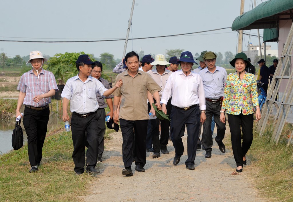 lth_1822-wha900 Bộ trưởng Nguyễn Xuân Cường thăm và làm việc với Công ty Cổ phần Nam Việt - 60