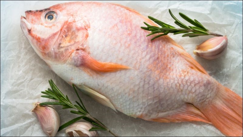 Cá điêu hồng - 19